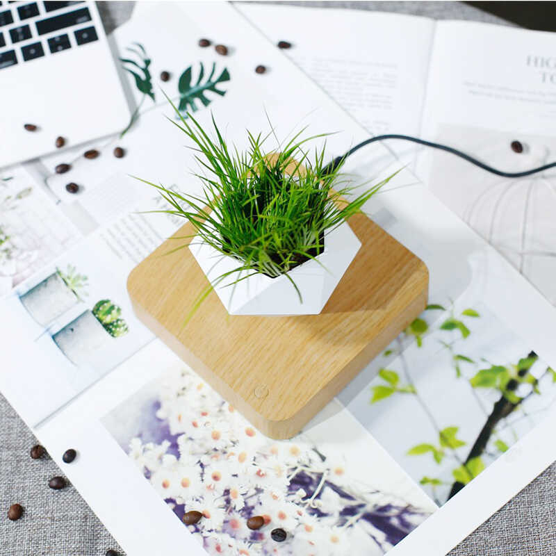 Levitating Air Flower - #HomeTech365#Home Technology Decor Electronics