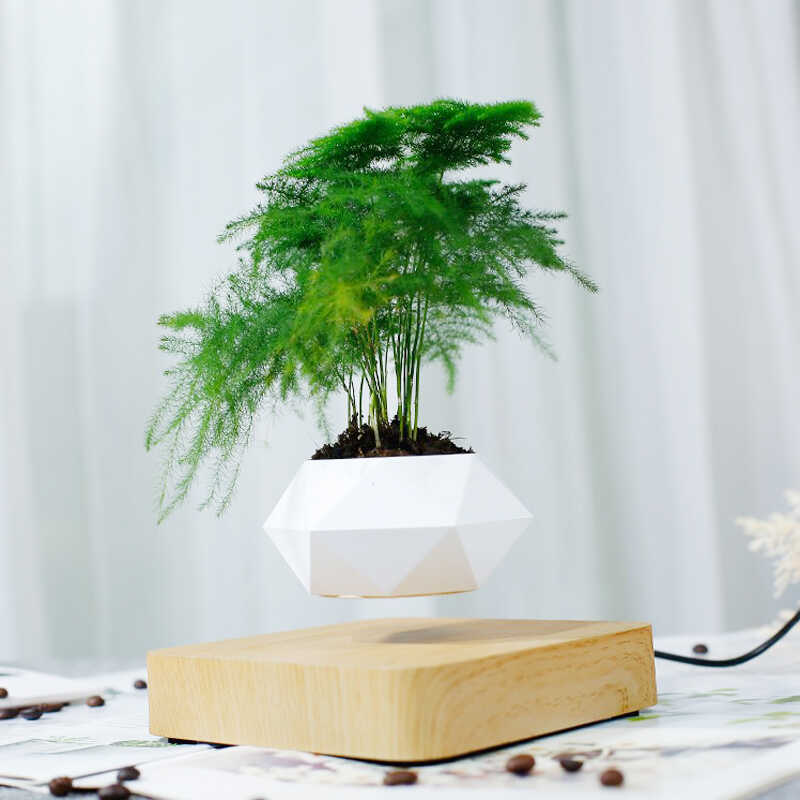Levitating Air Flower - #HomeTech365#Home Technology Decor Electronics